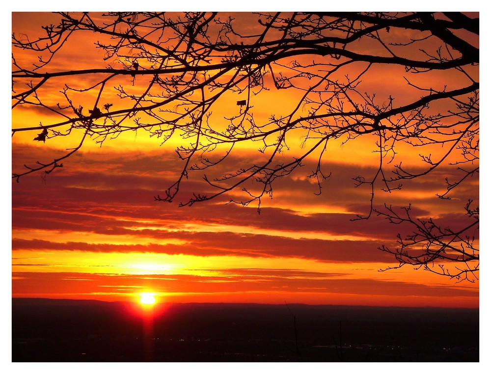 Sonnenaufgang über der Rheinebene