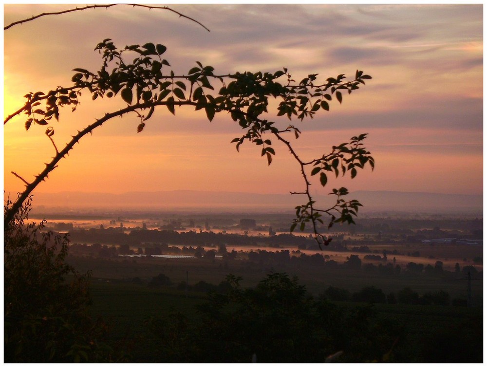 Sonnenaufgang über der Rheinebene