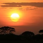 Sonnenaufgang über der Serengeti