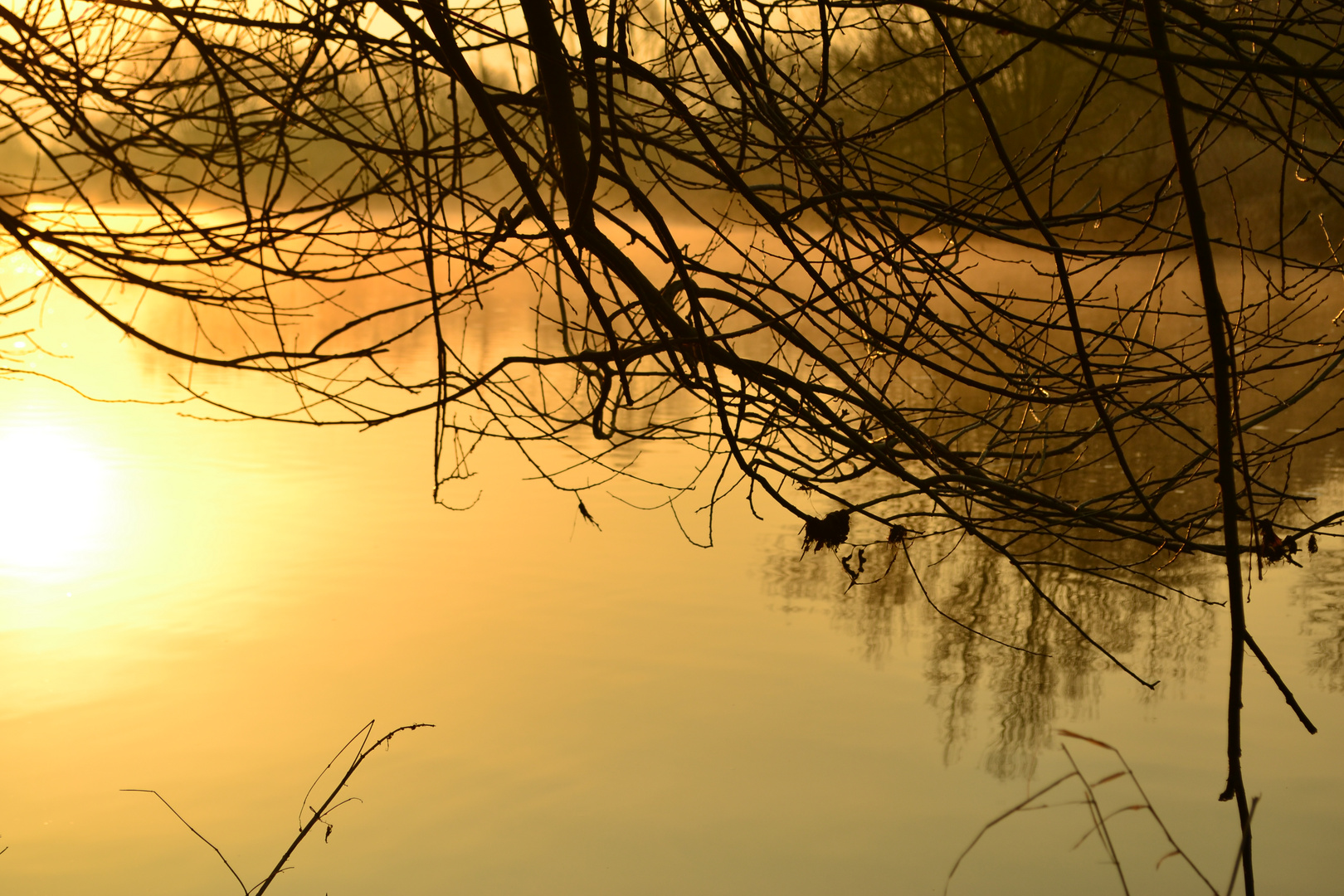 Sonnenaufgang über der Werre