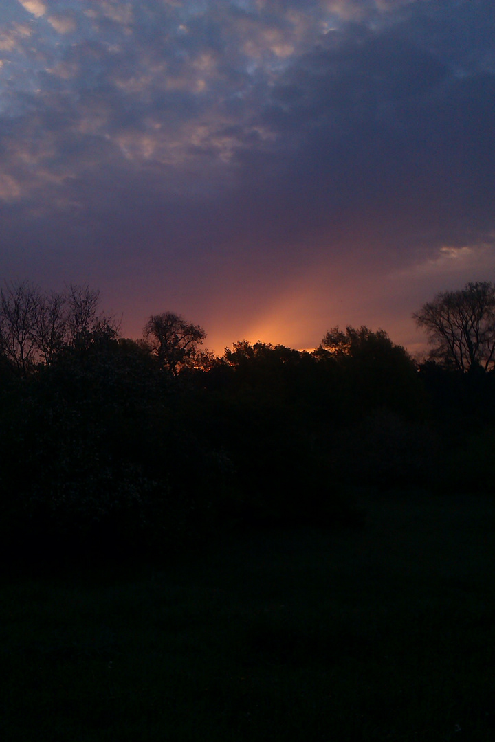 Sonnenaufgang über Dessau