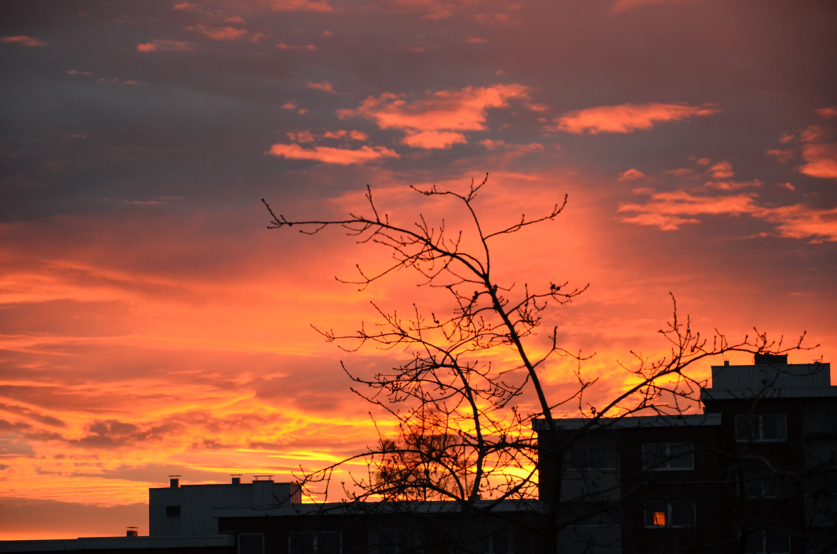 Sonnenaufgang über Detmold