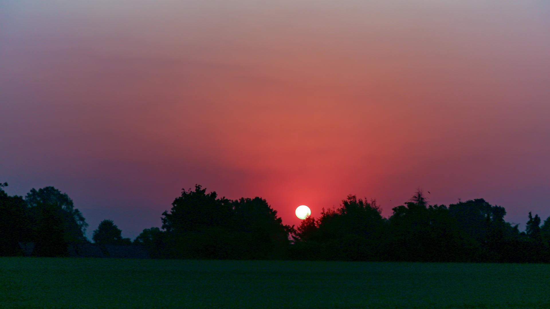 Sonnenaufgang über die Bäume