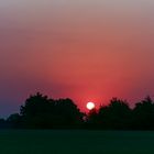 Sonnenaufgang über die Bäume