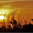 Sonnenaufgang über die Siedlung