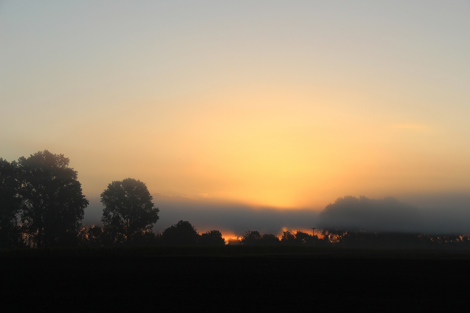 Sonnenaufgang über einem Feld