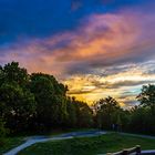 Sonnenaufgang über einem kleinen Park direkt hinter meinem Garten (# 2)