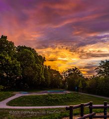 Sonnenaufgang über einem kleinen Park direkt hinter meinem Garten