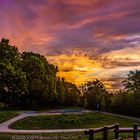 Sonnenaufgang über einem kleinen Park direkt hinter meinem Garten