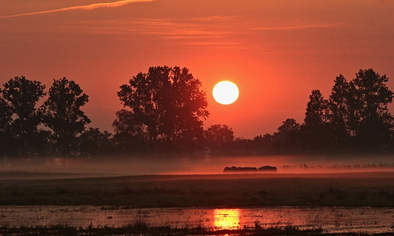 Sonnenaufgang über einem Polder