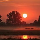 Sonnenaufgang über einem Polder