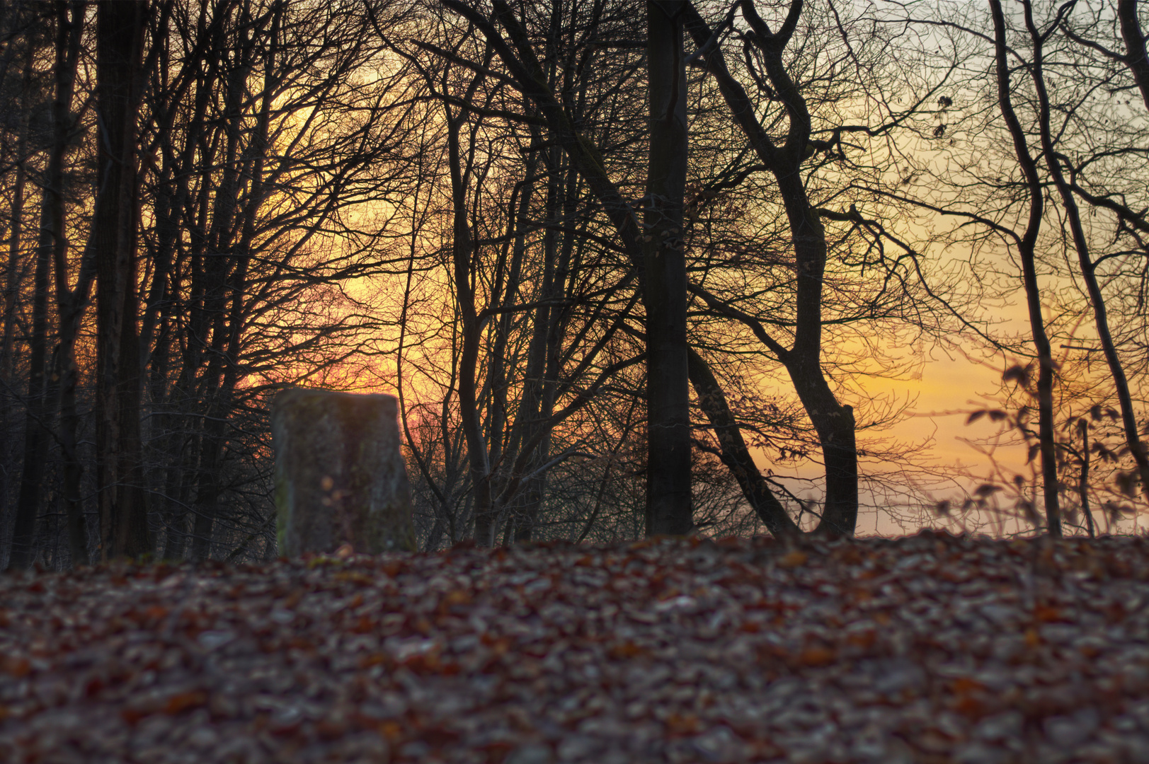 Sonnenaufgang über einer Grabstele auf einem Keltischen Fürstengrab bei Wattenheim