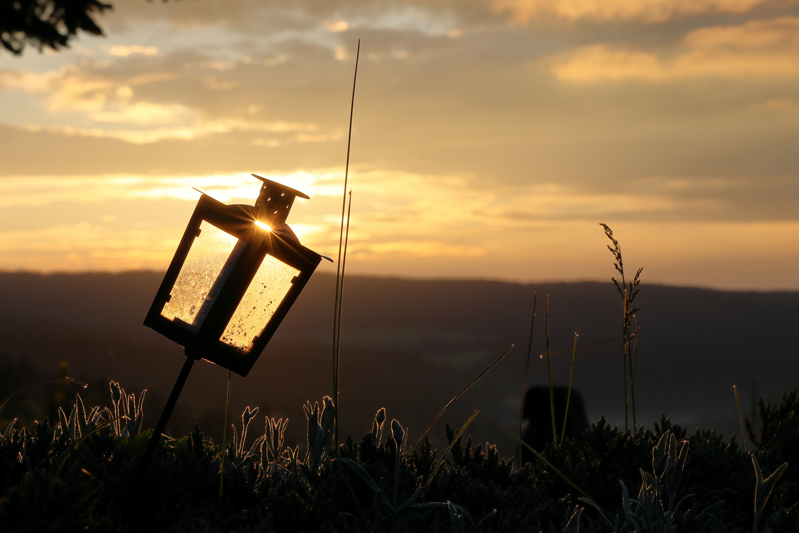 Sonnenaufgang über Falkau