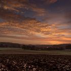 Sonnenaufgang über Feld