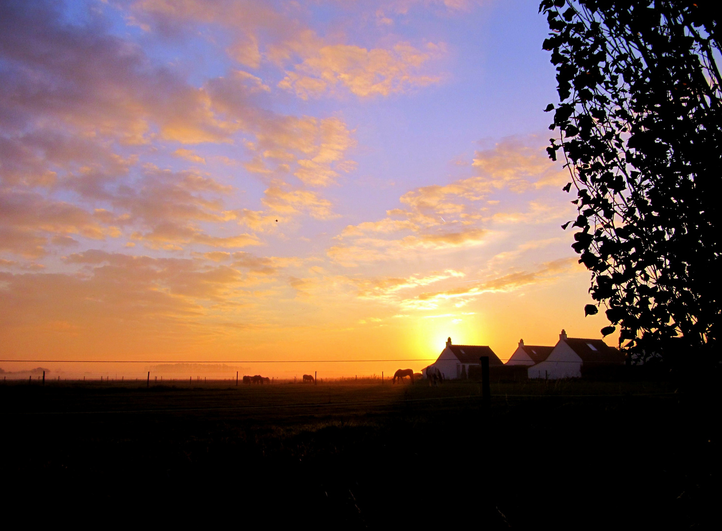 Sonnenaufgang über Flandern