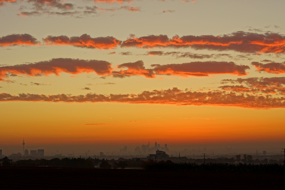 Sonnenaufgang über Frankfurt