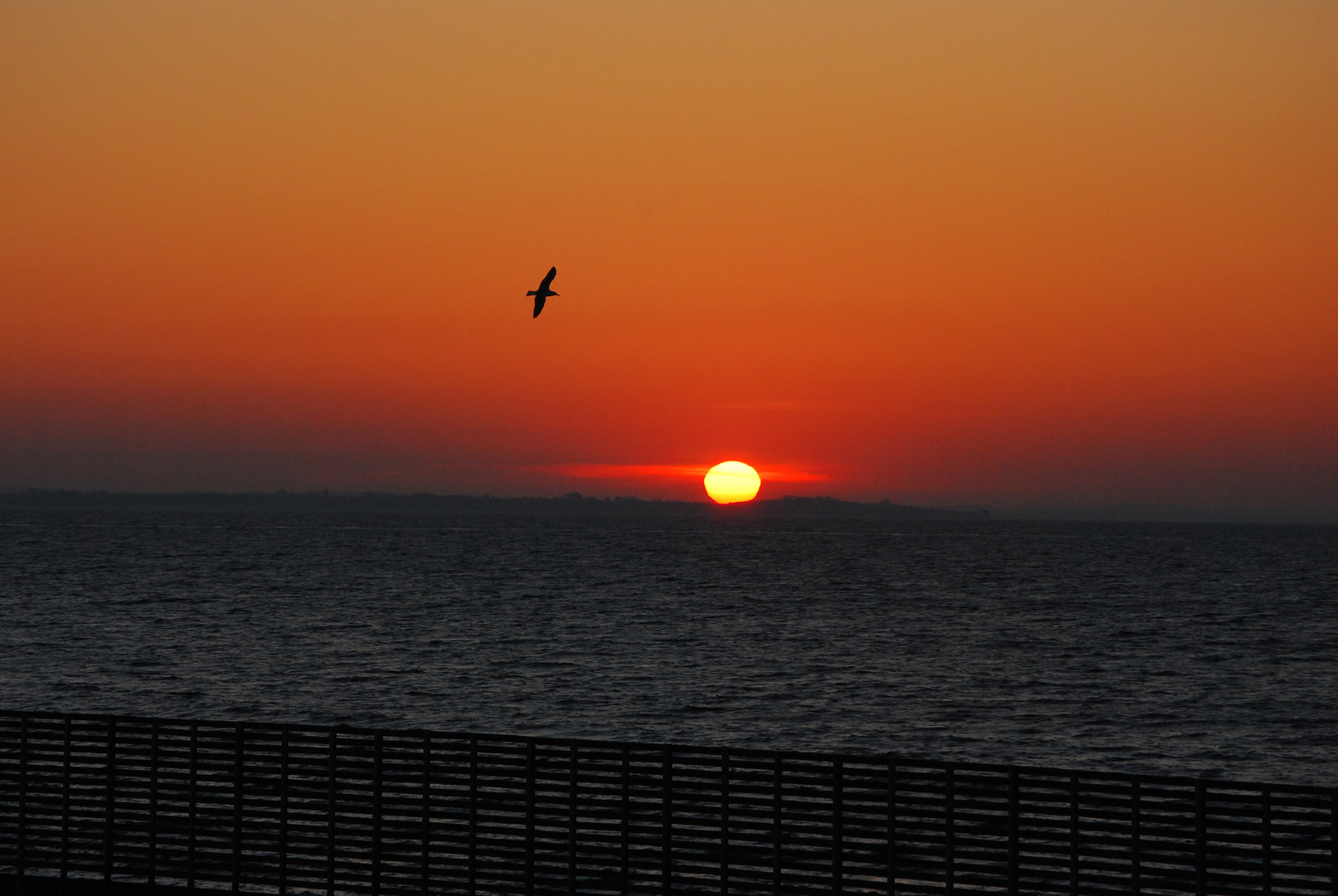 Sonnenaufgang über Fynshav