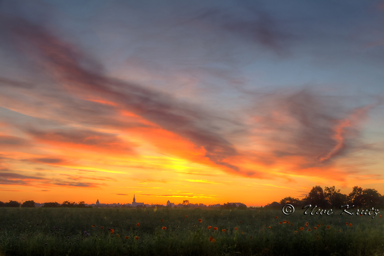 Sonnenaufgang über Greifswald