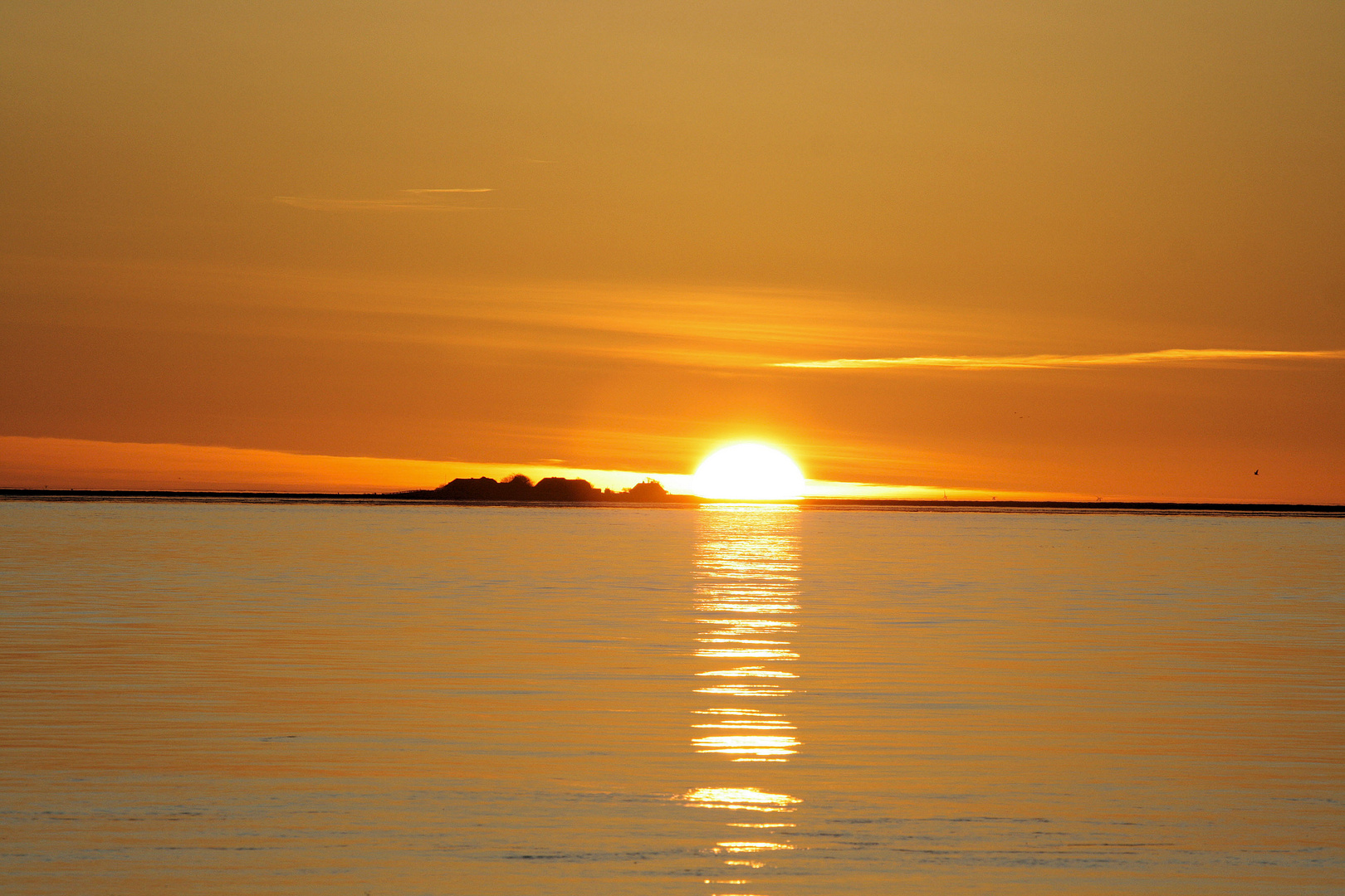 Sonnenaufgang über Hallig Langeness