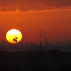 Sonnenaufgang über Hamburg