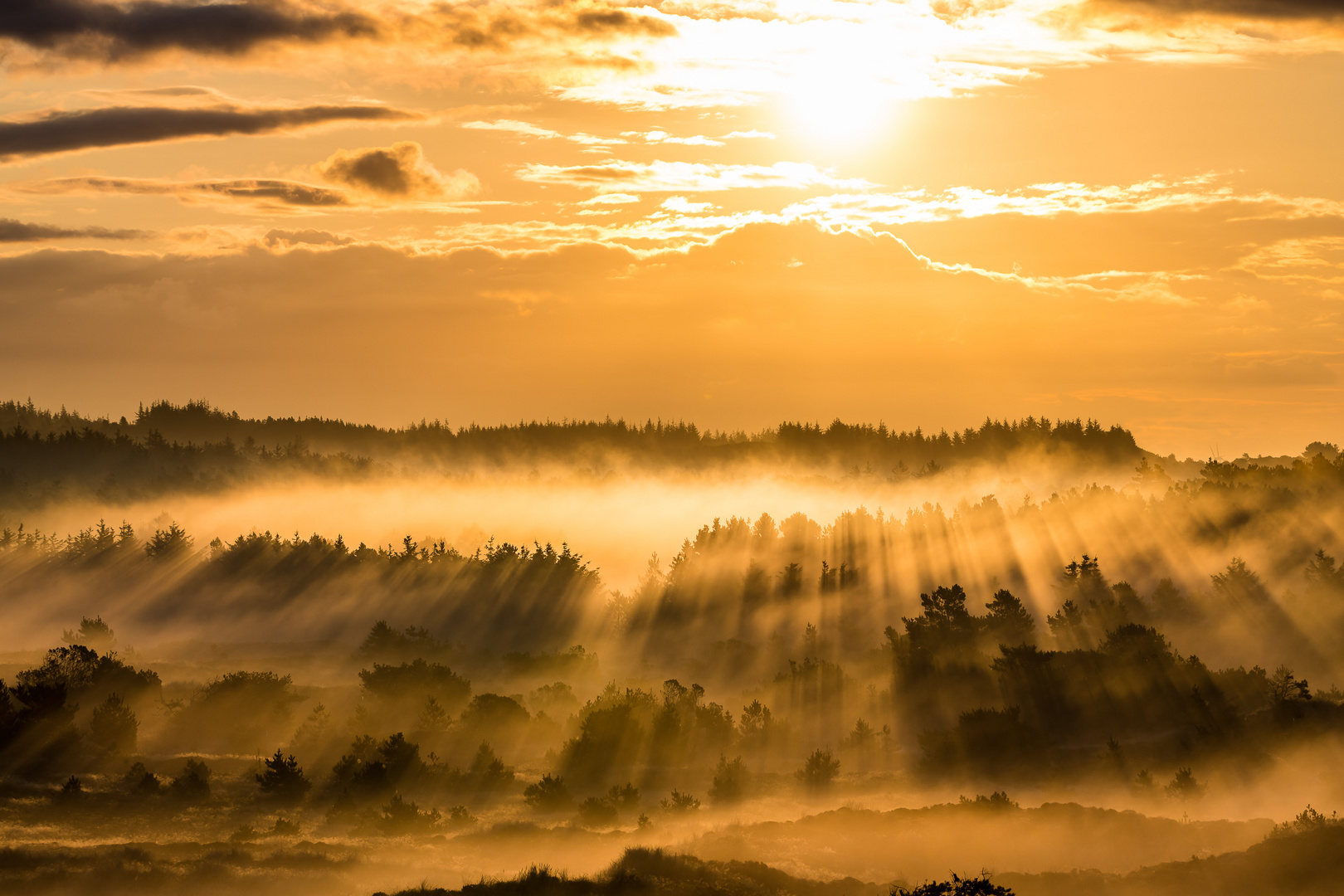 Sonnenaufgang über Heidelandschaft