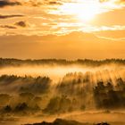 Sonnenaufgang über Heidelandschaft