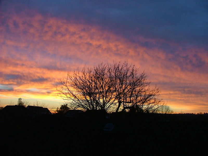 Sonnenaufgang über Herold