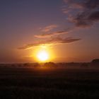 Sonnenaufgang über Hoisbüttel