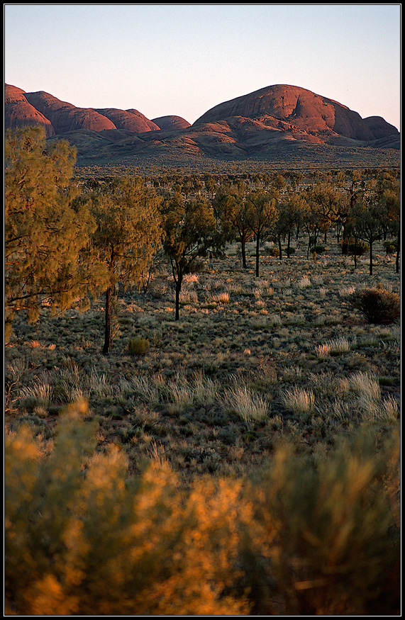 Sonnenaufgang über Kata-Tjuta