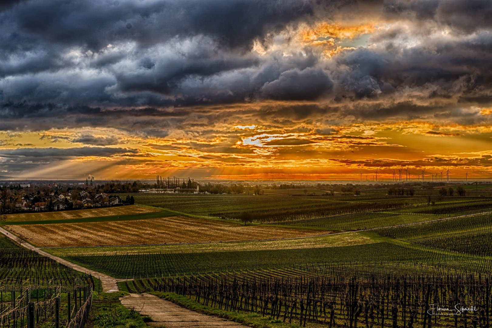 Sonnenaufgang über Landau/Pfalz