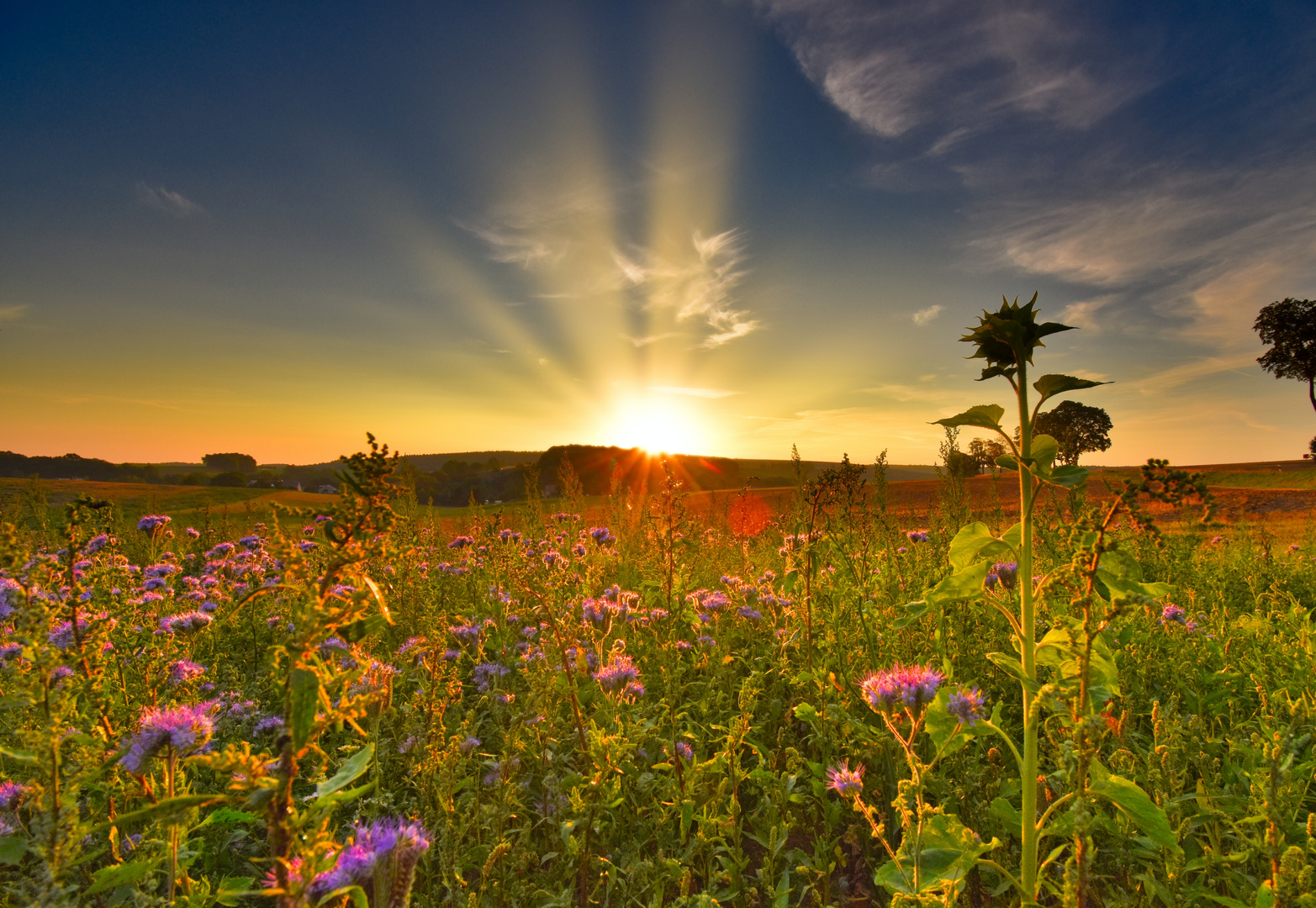 Sonnenaufgang über Langenstriegis