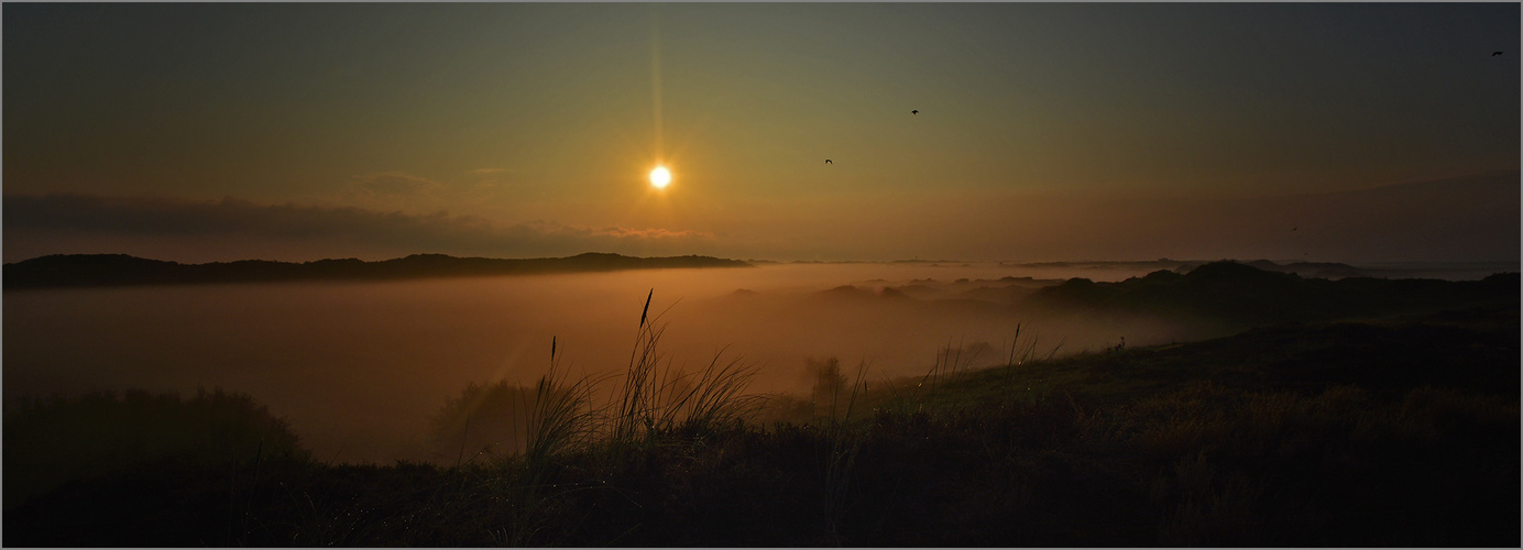 Sonnenaufgang über Langeoogs Randdünen.