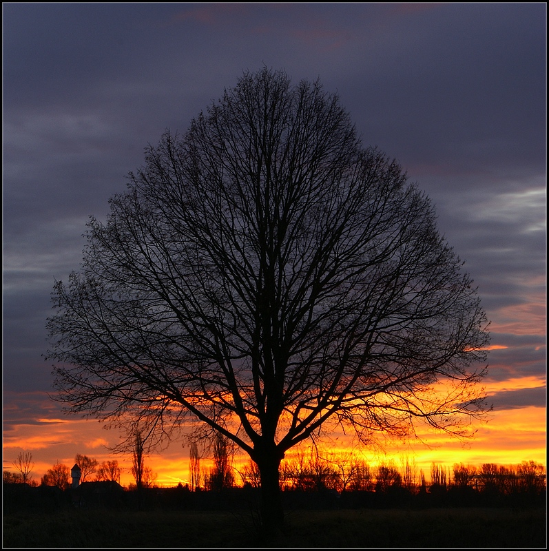 Sonnenaufgang über Löderburg