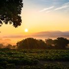 Sonnenaufgang über Müllheim