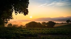 Sonnenaufgang über Müllheim