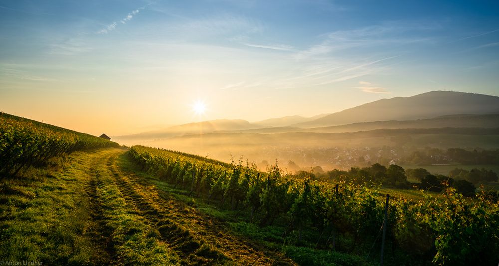 Sonnenaufgang über Müllheim II