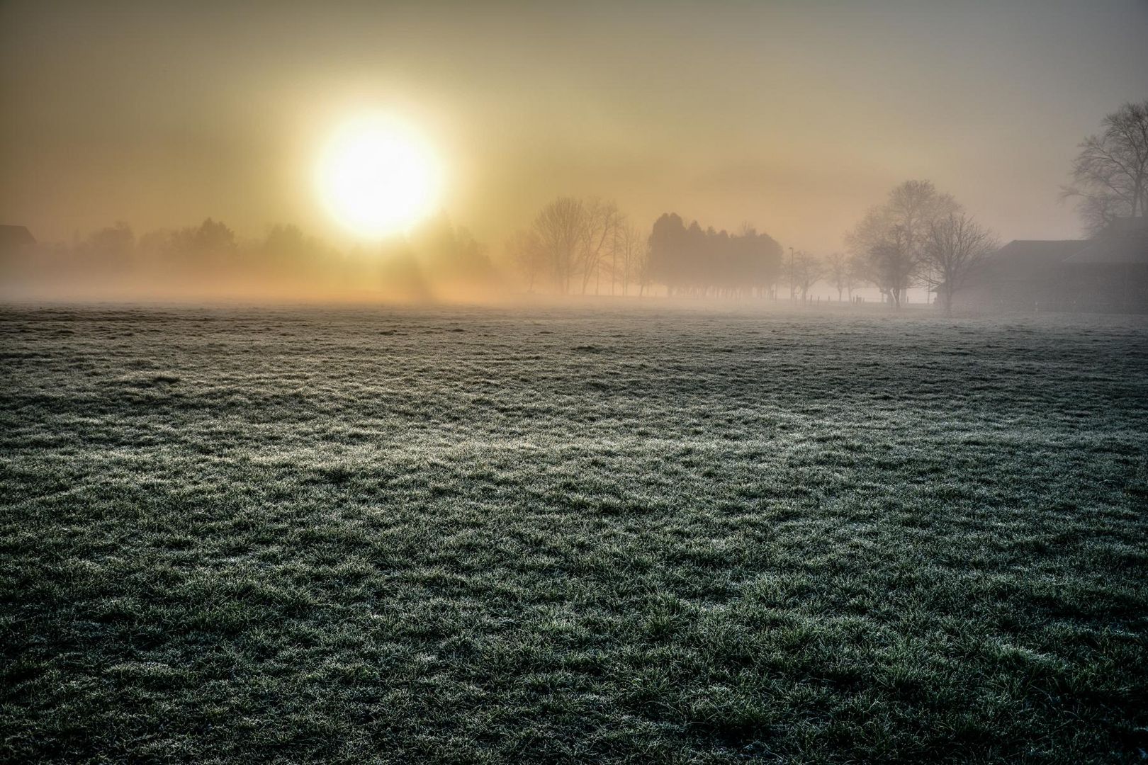 Sonnenaufgang über Nachbar's Wiese (2) (Chiemsee)