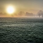 Sonnenaufgang über Nachbar's Wiese (2) (Chiemsee)