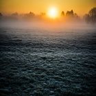 Sonnenaufgang über Nachbar's Wiese (Chiemsee)