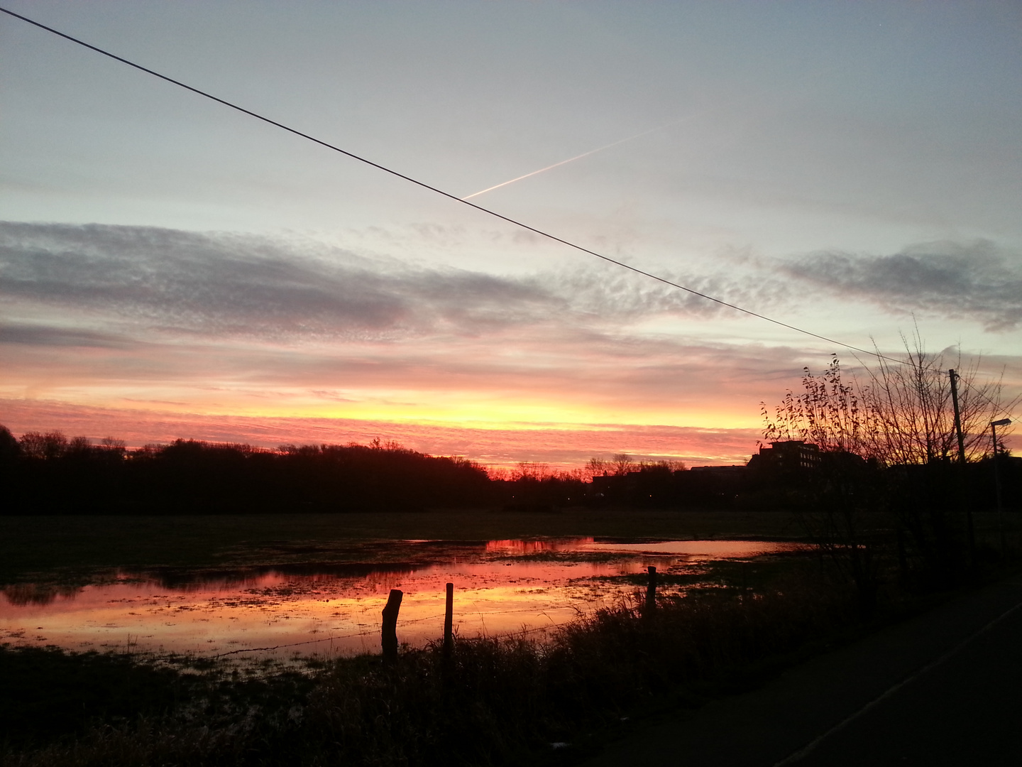 Sonnenaufgang über nasser Weide