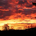 Sonnenaufgang über Nienburg beim Frühstück 7:59 h