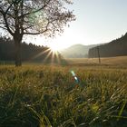 Sonnenaufgang über Oberentersbach