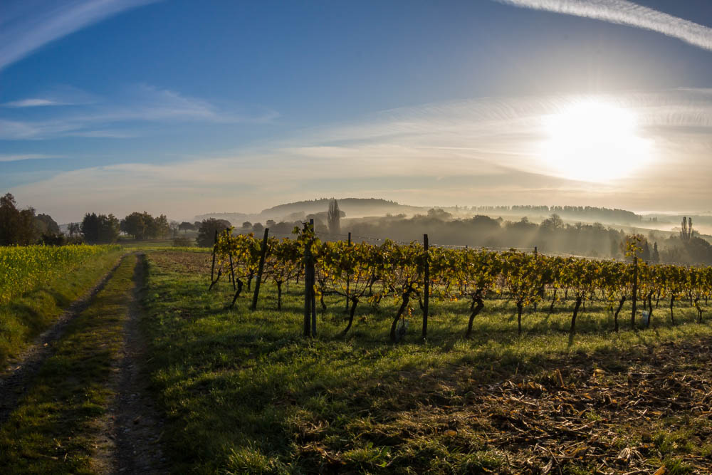 Sonnenaufgang über Obergrombach_2