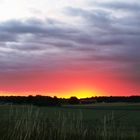 Sonnenaufgang über Olfen/Vinnum