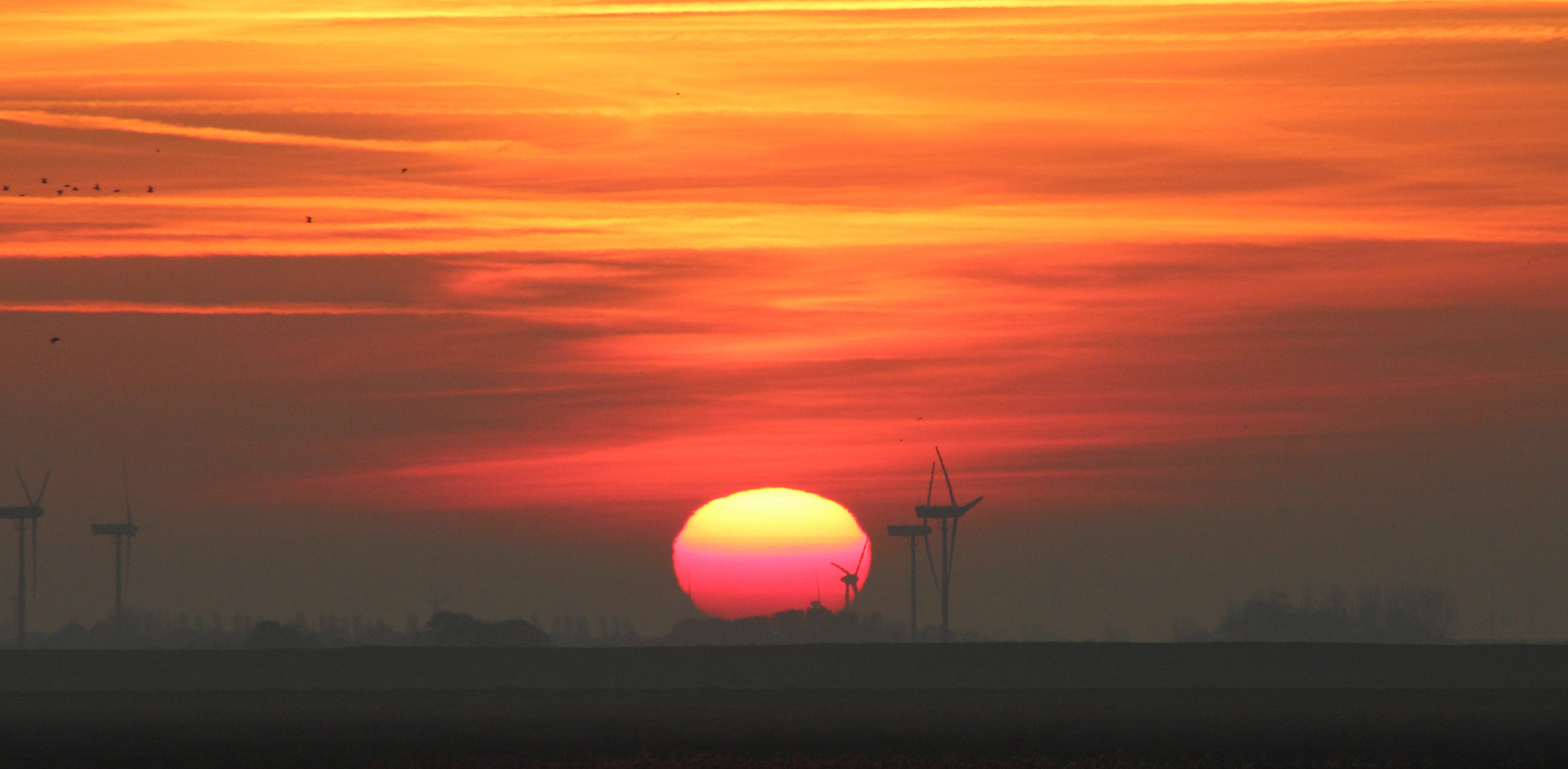 Sonnenaufgang über Ostfriesland