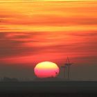 Sonnenaufgang über Ostfriesland