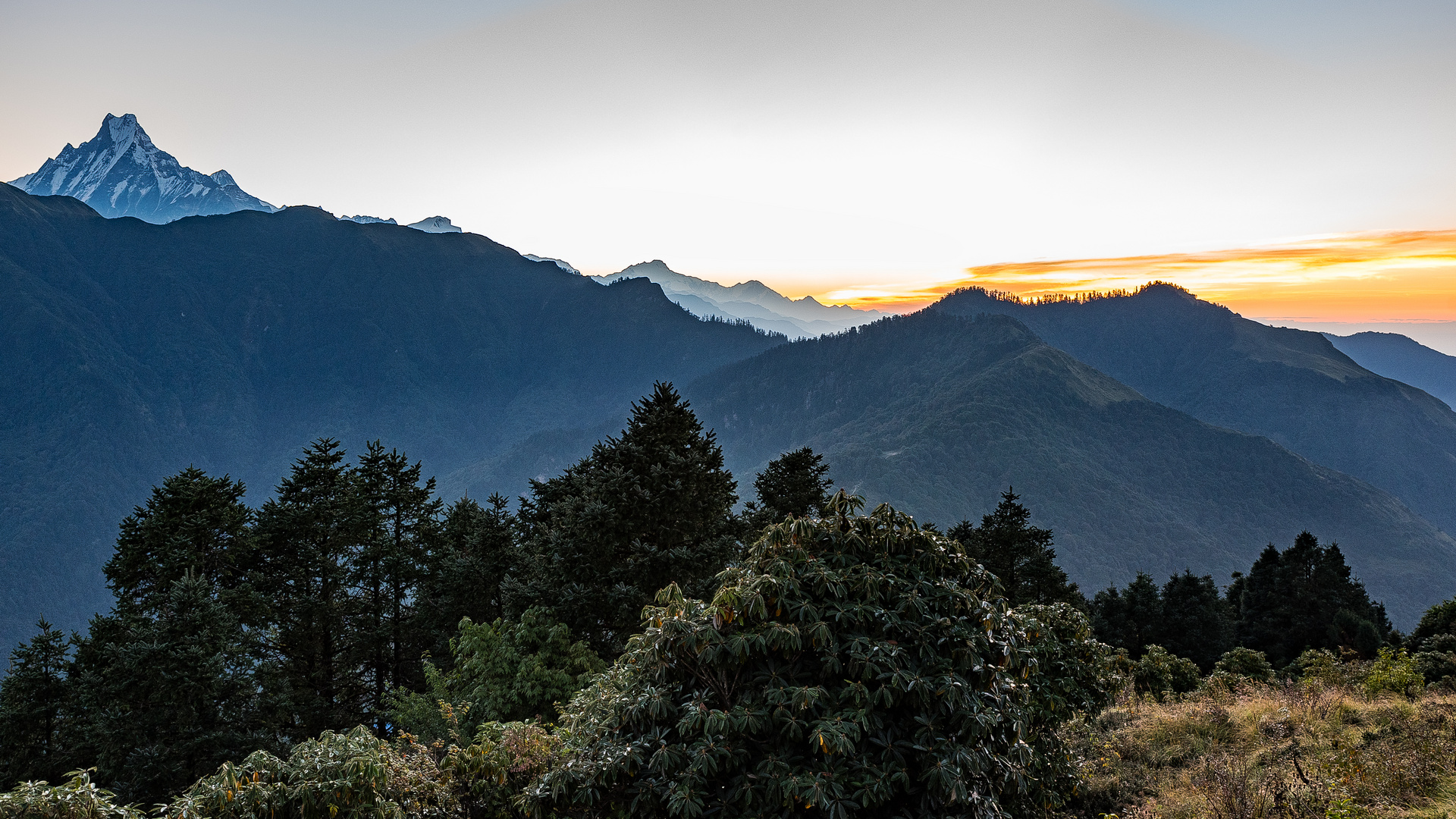 Sonnenaufgang über Poon Hill (3200 m)