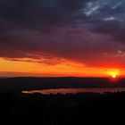 Sonnenaufgang über Radolfzell am Bodensee