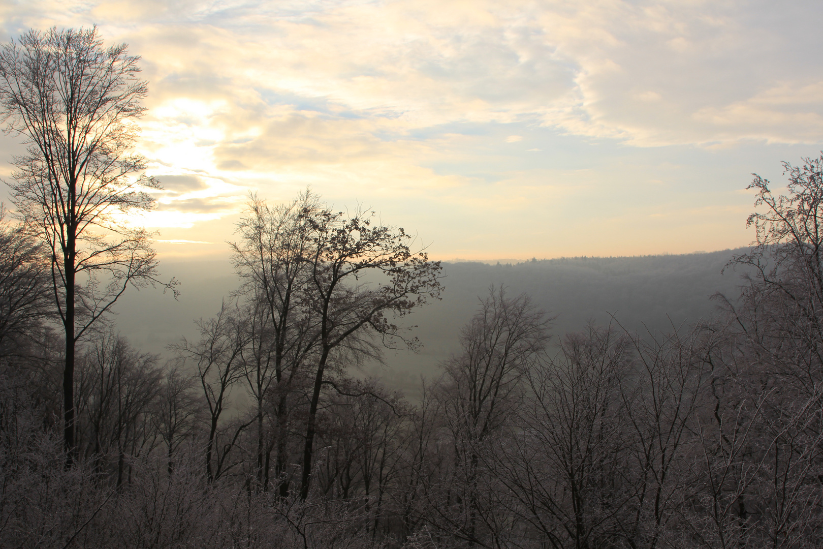 Sonnenaufgang über Rauhreif am Albertusweg