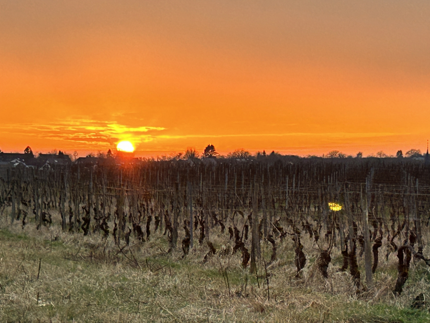 Sonnenaufgang über Rheinhessen